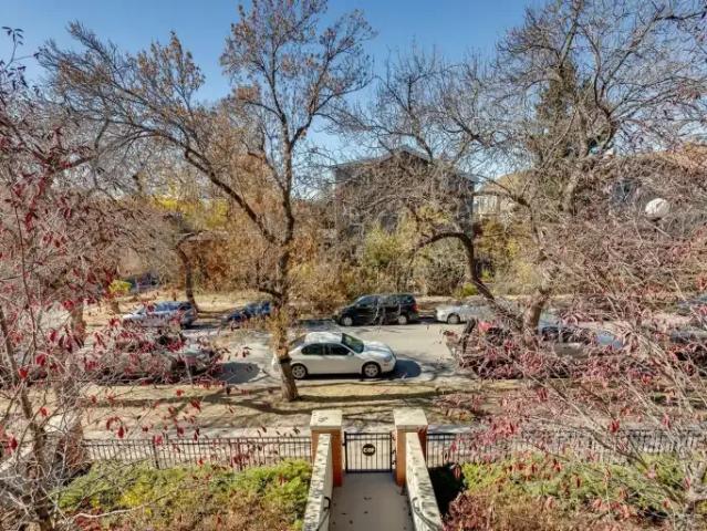 For Rent 1 Bedroom Condo Calgary AB DS102846186