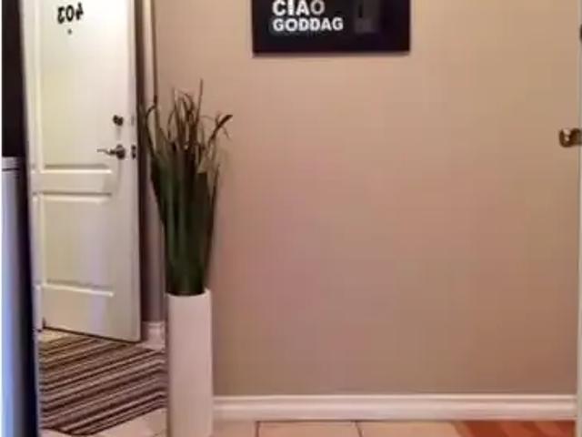 For Rent 1 Bedroom Condo Calgary AB DS104179649
