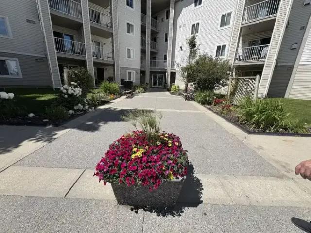 For Rent 1 Bedroom Condo Calgary AB DS104182154