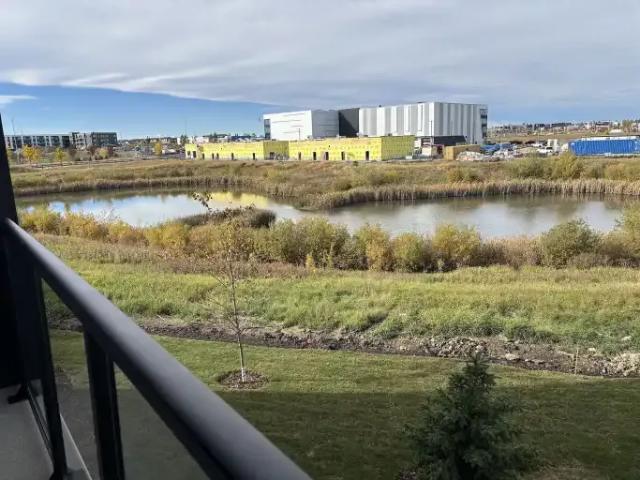 For Rent 1 Bedroom Condo Calgary AB DS104257011
