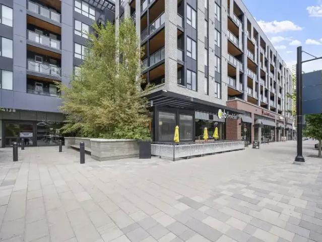 For Rent 1 Bedroom Condo Calgary AB DS104224632