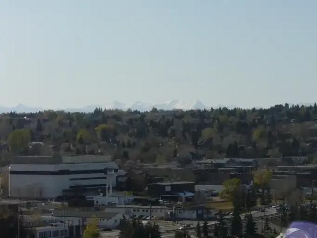 For Rent 1 Bedroom Condo Calgary AB DS104598144