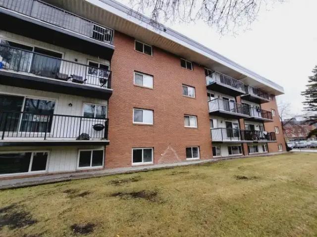 For Rent 1 Bedroom Condo Edmonton AB DS103770635