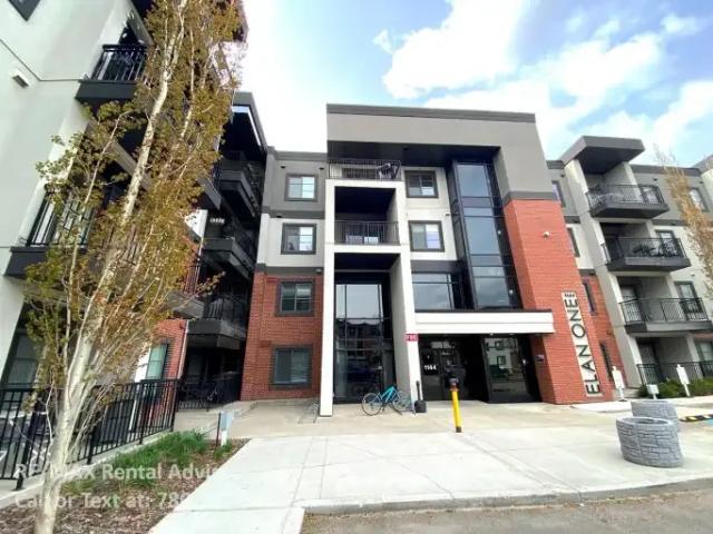 For Rent 1 Bedroom Condo Edmonton AB DS103322659