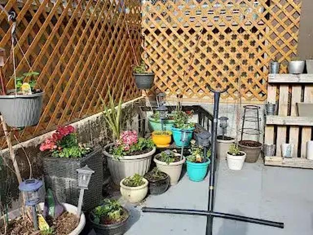 For Rent 1 Bedroom Condo Edmonton AB DS104224440