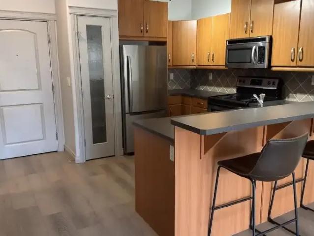 For Rent 1 Bedroom Condo Edmonton AB DS105643287