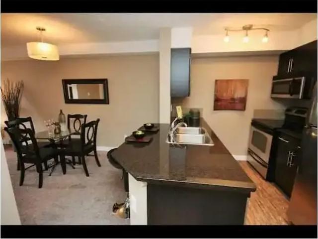 For Rent 1 Bedroom Condo Edmonton AB DS105198523