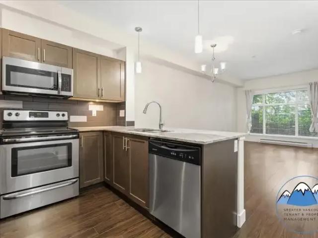 For Rent 1 Bedroom Condo Surrey BC DS102366529
