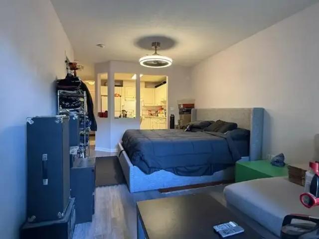 For Rent 1 Bedroom Condo Port Coquitlam BC DS105581017