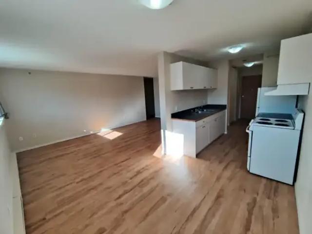 For Rent 1 Bedroom Condo Penticton BC DS102846870