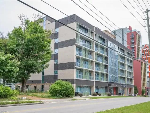 For Rent 1 Bedroom Condo Waterloo ON DS102243024