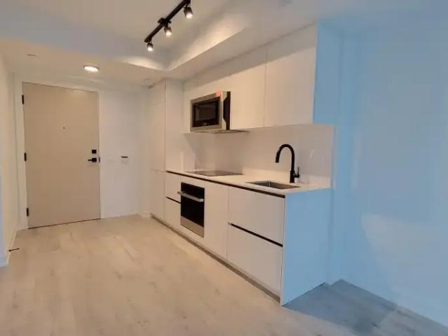 For Rent 1 Bedroom Condo Toronto ON DS105071997