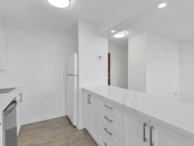 For Rent 1 Bedroom Apartment Mississauga ON DS104469871