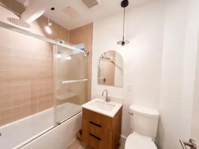 For Rent 1 Bedroom Apartment Mont Royal QC DLS94754276