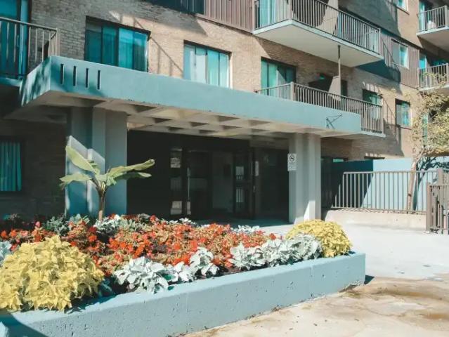For Rent 1 Bedroom Apartment Montreal QC DLS101185700