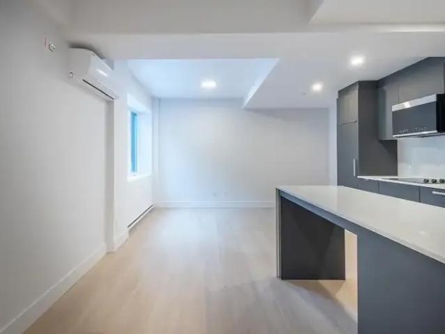 For Rent 1 Bedroom Apartment Montreal QC DLS101554598