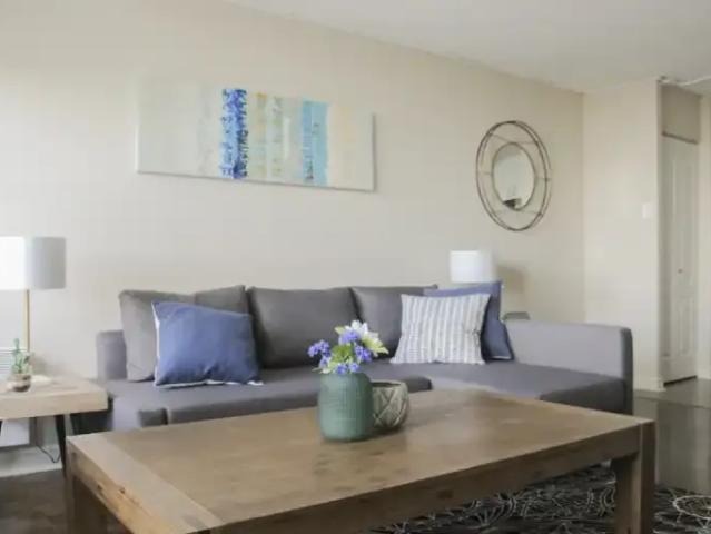 For Rent 1 Bedroom Apartment Montreal QC DLS101612291