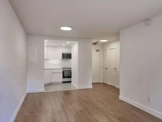 For Rent 1 Bedroom Apartment Montreal QC DLS102752006