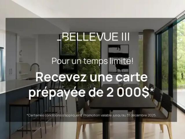 For Rent 1 Bedroom Apartment Montreal QC DLS96589597