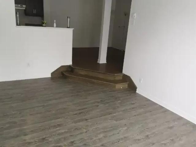 For Rent 1 Bedroom Apartment Montreal QC DS104141439