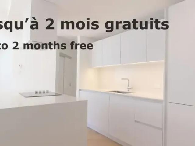 For Rent 1 Bedroom Apartment Montreal QC DS104178541