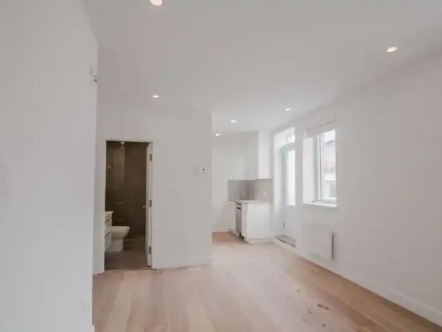 For Rent 1 Bedroom Apartment Montreal QC DS104223361