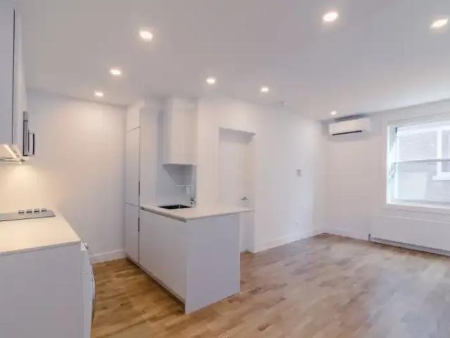 For Rent 1 Bedroom Apartment Montreal QC DS104362081