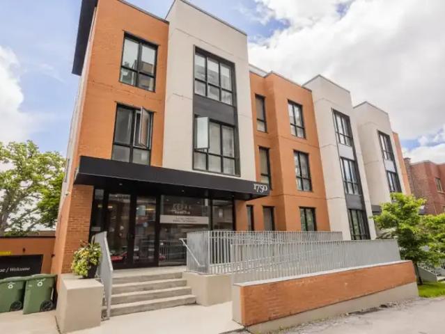 For Rent 1 Bedroom Apartment Montreal QC DS104433590