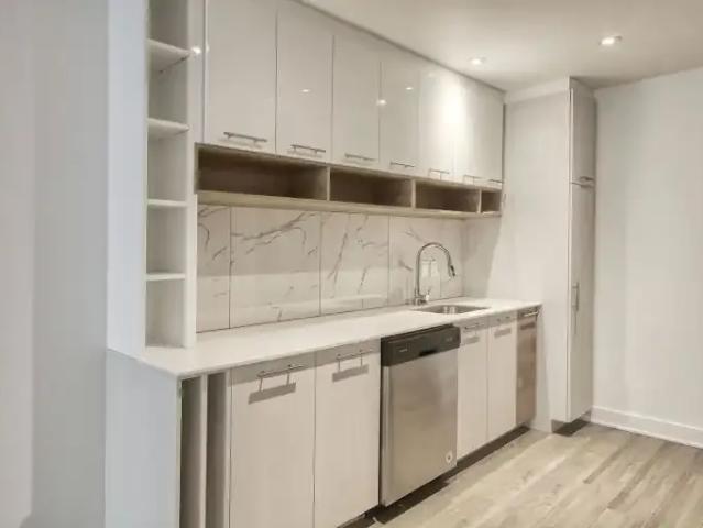 For Rent 1 Bedroom Apartment Montreal QC DS104470033