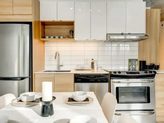 For Rent 1 Bedroom Apartment Montreal QC DS100228009