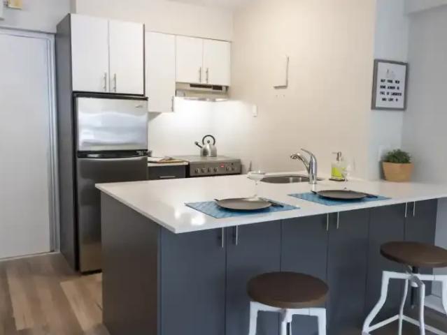 For Rent 1 Bedroom Apartment Montreal QC DS101474681