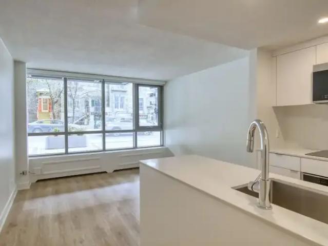 For Rent 1 Bedroom Apartment Montreal QC DS103367197