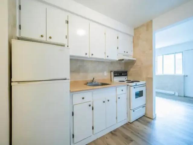 For Rent 1 Bedroom Apartment Montreal QC DS103694883