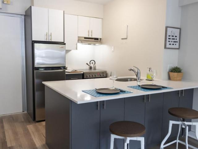 For Rent 1 Bedroom Apartment Montréal QC DS97744310