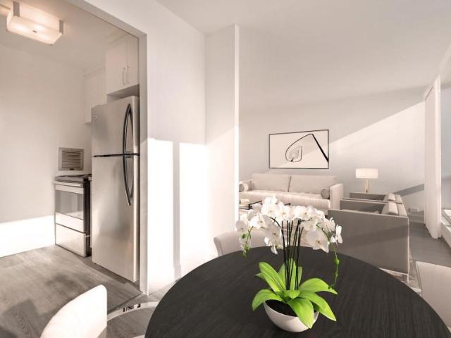 For Rent 1 Bedroom Apartment Montréal QC DS98310426