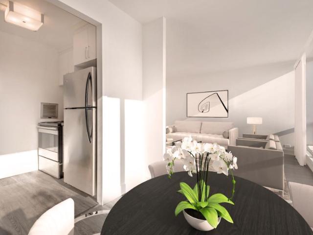 For Rent 1 Bedroom Apartment Montréal QC DS98310441
