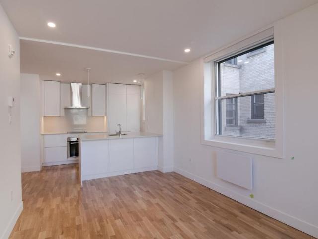 For Rent 1 Bedroom Apartment Montréal QC DS98313490