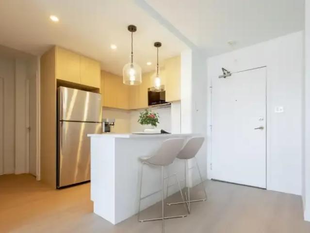 For Rent 1 Bedroom Apartment Montreal QC DS99184785