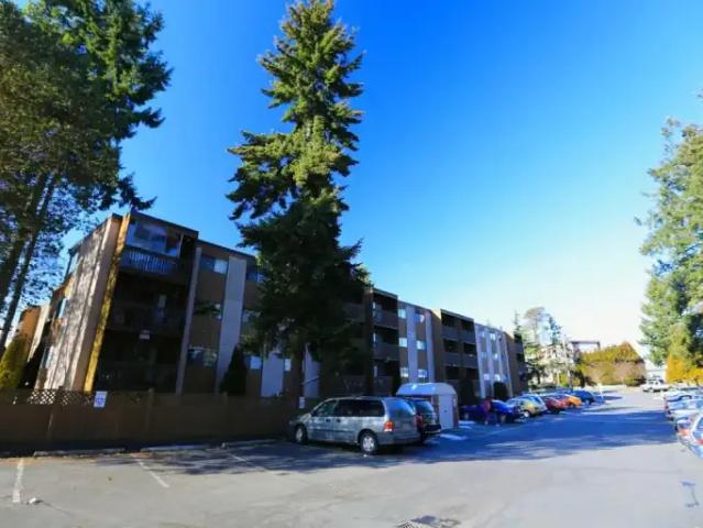For Rent 1 Bedroom Apartment Nanaimo BC DS103694486