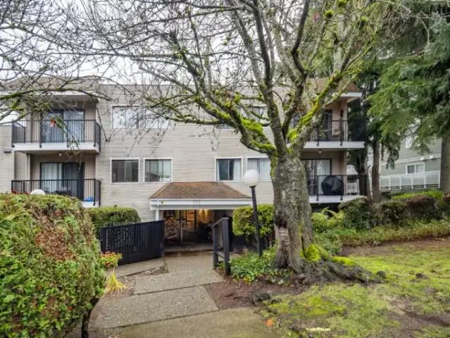 For Rent 1 Bedroom Apartment New Westminster BC DS104637835