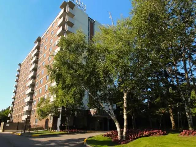 For Rent 1 Bedroom Apartment North York ON DS101947573