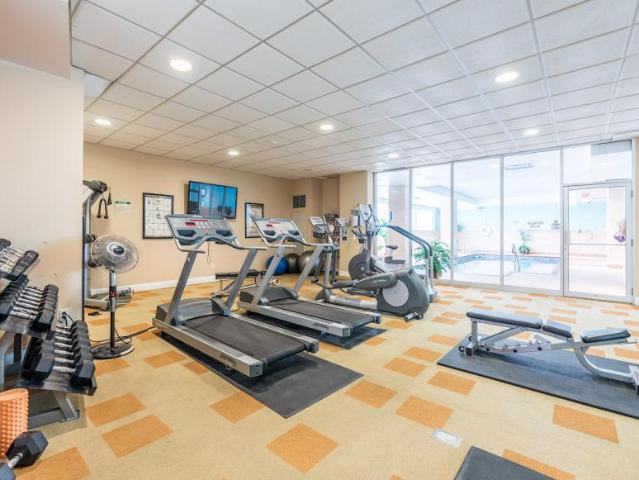 For Rent 1 Bedroom Apartment Ottawa ON DLS98310906