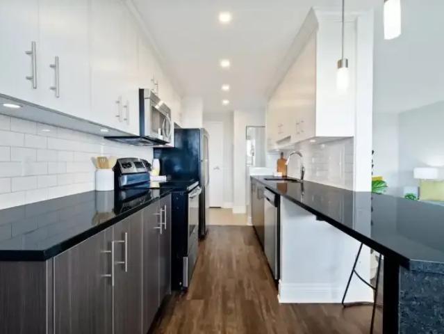 For Rent 1 Bedroom Apartment Ottawa ON DLS102306278