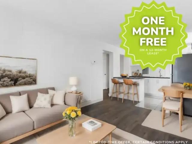 For Rent 1 Bedroom Apartment Ottawa ON DS100046100