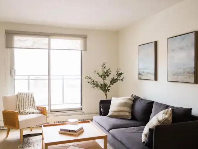 For Rent 1 Bedroom Apartment Ottawa ON DS101686218