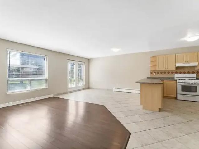 For Rent 1 Bedroom Apartment Ottawa ON DS101825066