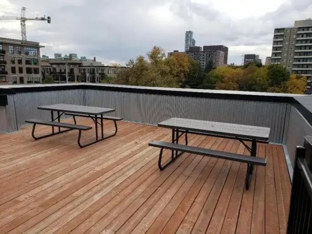 For Rent 1 Bedroom Apartment Ottawa ON DS102204138