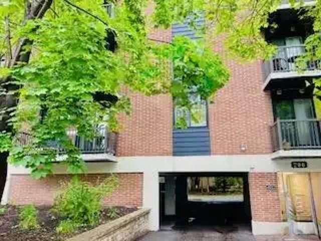 For Rent 1 Bedroom Apartment Ottawa ON DS102845825