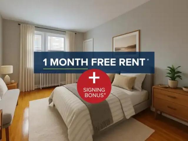 For Rent 1 Bedroom Apartment Ottawa ON DS104985498