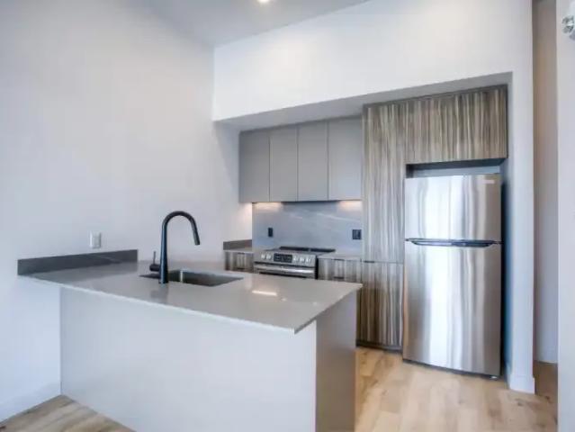 For Rent 1 Bedroom Apartment Outremont QC DS101088828